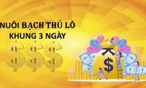 Dàn đề 36 con số miền bắc đẹp hôm nay nuôi nhiều ngày